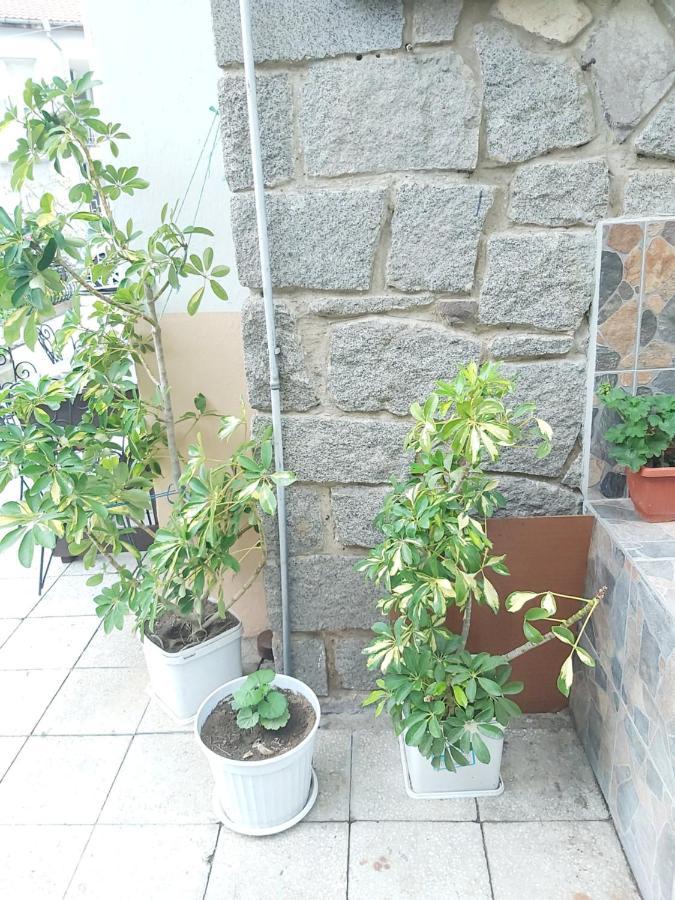 Kyshta Za Gosti Dari Rumi 1 Sosopol Exterior foto
